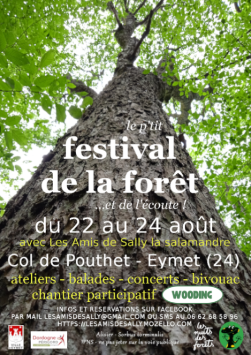 Festival de la foret... et de l'écoute : atelier, balade, concerts, bivouac, chantier participatif, ...